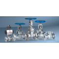 Stainless Steel Valves API 602 Accept OEM